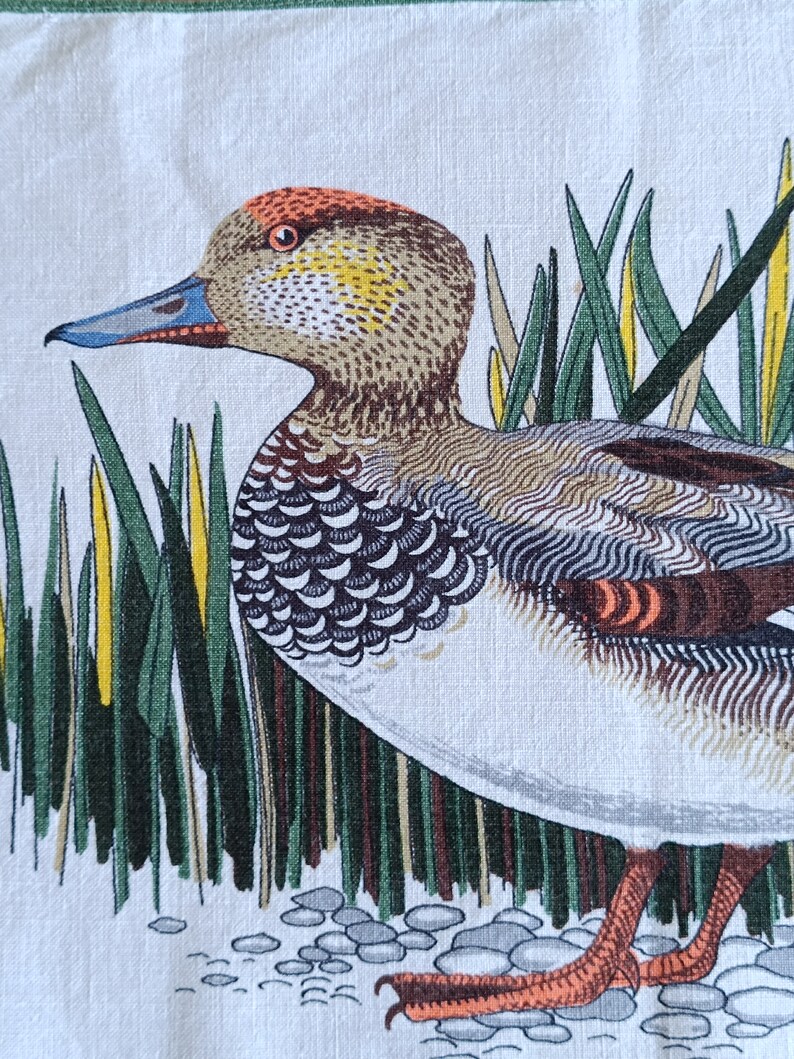 May include: A brown and white duck with a red bill and orange legs stands in a field of green grass. The duck has a yellow stripe on its head and a brown and white patterned body.