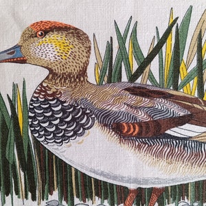 May include: A detailed illustration of a duck with brown, white, and gray feathers. The duck is surrounded by green and yellow reeds.