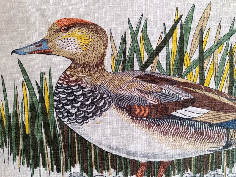 May include: A detailed illustration of a duck with brown, white, and gray feathers. The duck is surrounded by green and yellow reeds.