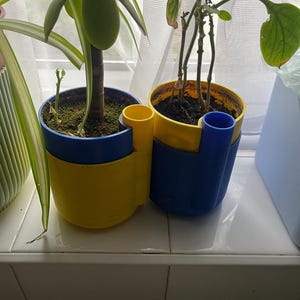 Puede incluir: Dos plantas en macetas en macetas azules y amarillas. Las macetas tienen un diseño único con un asa incorporada. Una maceta es amarilla en la parte superior y azul en la inferior, y la otra es azul en la parte superior y amarilla en la inferior. Las plantas están en un alféizar.