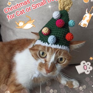Crochet Christmas Tree Hat for a Cat or Small Dog, Festive Cat Outfit, New Year&#39;s hat for a cat or dog, cat hat pattern, animal hat pattern