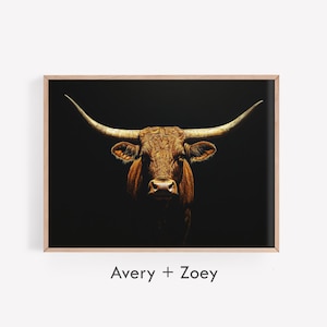 May include: A close-up portrait of a brown and white longhorn steer with large horns against a black background. The steer is looking directly at the camera.