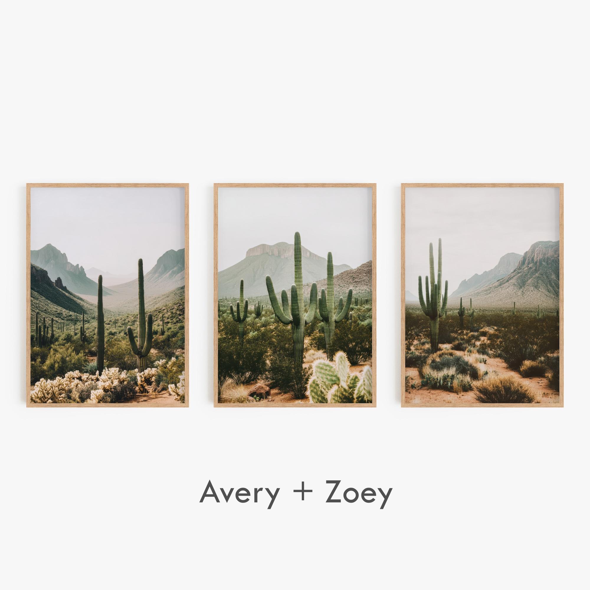 Arizona Desert Set of 3, Southwest Desert Landscape Wall Décor, New Mexico Nature Photos PRINTABLE, Boho Saguaro Digital Download Wall Art