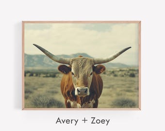 May include: A close-up portrait of a brown and white longhorn steer with large horns, standing in a field of dry grass. The steer is looking directly at the camera.
