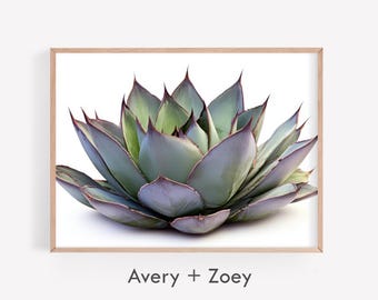 Contemporary Agave, Modern Desert Botanical Wall Décor, Southwestern Cactus Plant PRINTABLE Art, Modern Succulent Digital Download Art Print