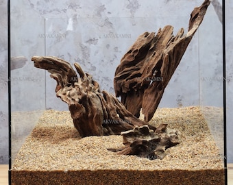 Aquarium hardscape. Roots for design aquarium. Dragon wood (Shrimp wood). Fish Tank Landscape.