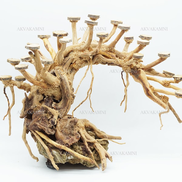 Aquarium driftwood tree, aquarium aquascape, bonsai driftwood, Roots for aquarium