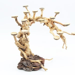 May include: A decorative wooden tree with multiple branches and round wooden platforms. The tree is made of driftwood and has a natural brown color. The base of the tree is made of dark brown volcanic rock.