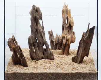 Aquarium hardscape. Roots for design aquarium. Dragon wood (Shrimp wood). Fish Tank Landscape.