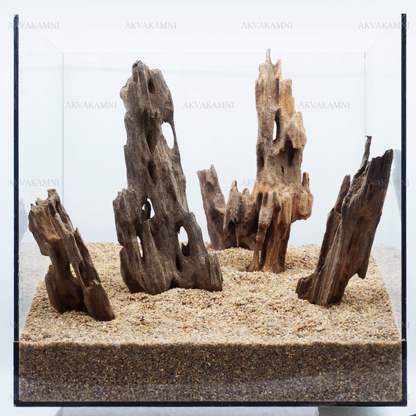 Aquarium hardscape. Roots for design aquarium. Dragon wood (Shrimp wood). Fish Tank Landscape.