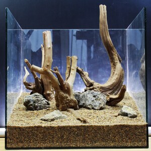 Aquarium hardscape. Roots and stone for design aquarium. Rhododendrone + natural stone. Fish Tank Landscape Rock.