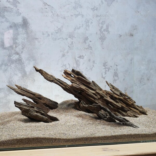 Design for 60l aquarium. Hardscape. Dragonwood roots