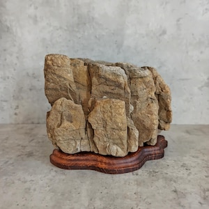 Può includere: Una roccia testurizzata color marrone e beige con profonde fessure verticali e un aspetto rugoso e stratificato. La pietra è montata su una base in legno scuro e levigato con un bordo liscio e ondulato che segue la forma della roccia.