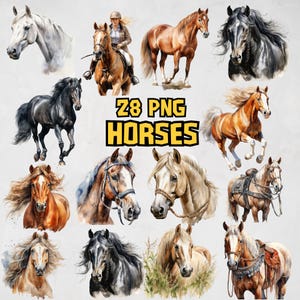 Bundle de cliparts chevaux aquarelle, chevaux peints Clipart PNG, Illustrations de chevaux, poneys, 28 Images PNG de haute qualité, usage Commercial