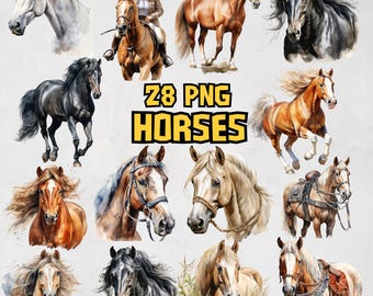 Op de afbeelding: Een verzameling van 28 aquarel schilderijen van paarden in verschillende poses en kleuren. De schilderijen zijn allemaal in een realistische stijl en bevatten details zoals hoofdstellen, zadels en ruiters. De tekst "28 PNG HORSES" wordt weergegeven in een gele doos.