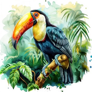 14 Toucan on Branch Clipart Bundle, Tropical Birds, Printable Watercolor Animal clipart, High Quality JPGs, Digital Paper craft, journals