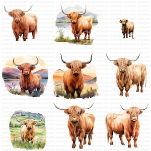 Watercolor Highland Cows Clipart Bundle, Highland Cow Illustrations, Nursery Decor Clipart Set, Transparent PNG Images, Commercial Use