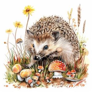 26 Cute Hedgehog in Nature Clipart Bundle Set, clipart de aquarela para impressão, JPGs de alta qualidade, download digital, artesanato em papel, diários de lixo