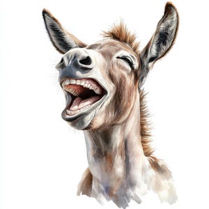20 Funny Donkey Clipart Bundle, Donkey Laugh Clipart, Printable Watercolor clipart, High Quality JPG, Digital download, Paper craft, journal