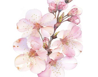 22 Cherry Blossom Clipart Set, Printable Watercolor Sakura Blossom Clipart, High Quality JPG, Digital Download, Commercial Use, Junk Journal