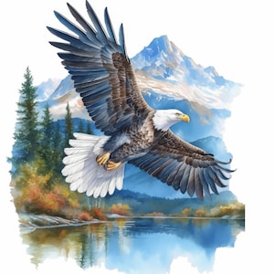 Pacchetto di 16 Clipart di aquile nella natura, illustrazioni di stampe di aquile calve, clipart di acquerelli stampabili, JPG di alta qualità, creazioni di carta, diario di scarto