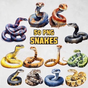 Pacote de Clipart de Cobras em Aquarela, Cobra, Mamba Negra, Anaconda, Víbora, Cascavel, Ilustração Animal | Gráficos PNG para Uso Comercial
