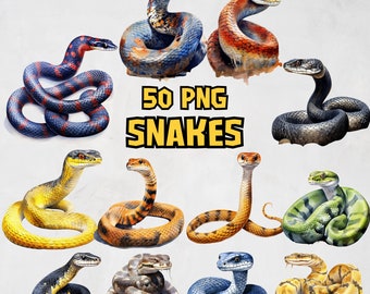 Watercolor Snakes Clipart Bundle, Cobra, Black Mamba, Anaconda, Viper, Rattlesnake, Animal Illustration | PNG Graphics for Commercial Use