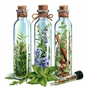 Pacote com 13 cliparts de garrafas e ervas, ilustrações de estampas botânicas, clipart de aquarela para impressão, JPG de alta qualidade, artesanato em papel, diário de sucata