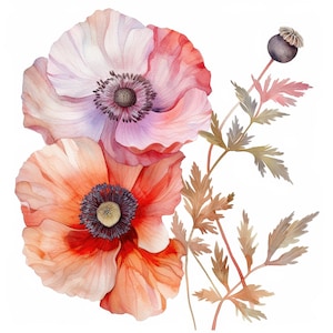 12 Flores Abstratas Clipart, Flores Secas, Clipart de Aquarela para Imprimir, JPGs de Alta Qualidade, Download Digital, Artesanato em Papel, Diários de Lixo