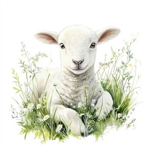 19 Schafe auf dem Gras, Clipart Bundle, Bauernhof Illustrationen, druckbare Aquarell Cliparts, hochwertige JPGs, Papierhandwerk, Junk Journals
