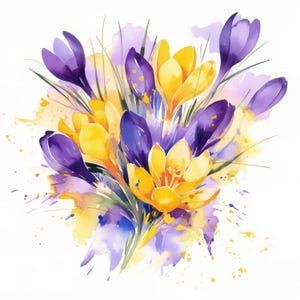 Peut inclure: Aquarelle d'un bouquet de fleurs de crocus. Les fleurs sont un mélange de jaune vif et de violet profond, avec des tiges et des feuilles vertes. Le fond présente des éclaboussures d'aquarelle jaunes et violettes.