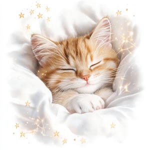 18 schlafende Kätzchen Clipart, süße Katze Clipart, druckbare Aquarell Clipart, hochwertige JPGs, digitaler Download, Papiermodell, Junk Journals