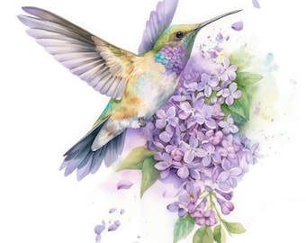 25 Spring Hummingbird Clipart Set 2, Colibri Illustrations, Printable Watercolor Clipart, High Quality JPG, Digital Download, Commercial Use