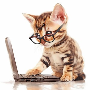 10 Cat with Glasses Clipart Bundle, Funny Cat Laptop Illustration, Printable Watercolor Clipart, High Quality JPG, Paper craft, Junk Journal