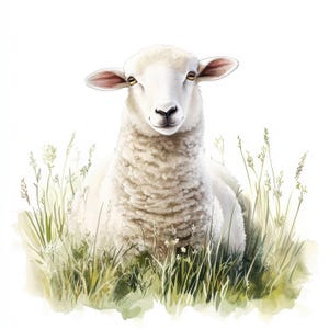 20 bundle di clipart di pecore da fattoria in acquerello, illustrazioni di agnelli stampabili, JPG di alta qualità, download digitale, artigianato di carta, diari spazzatura