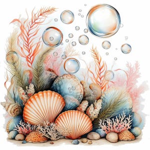 Bundle de 19 coquillages, cliparts nautiques côtiers aquarelle imprimables, fichiers JPG de haute qualité, téléchargement numérique, travaux manuels en papier, journaux indésirables