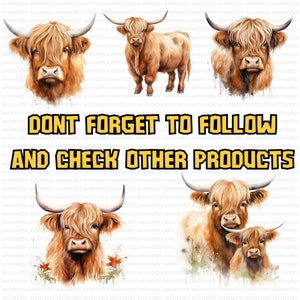 Watercolor Highland Cows Clipart Bundle, Highland Cow Illustrations, Nursery Decor Clipart Set, Transparent PNG Images, Commercial Use