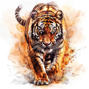 14 Tiger Jumping Clipart Bundle, Watercolor Tiger, Printable Watercolor clipart, High Quality JPGs, Digital download, Paper crafts, Journals