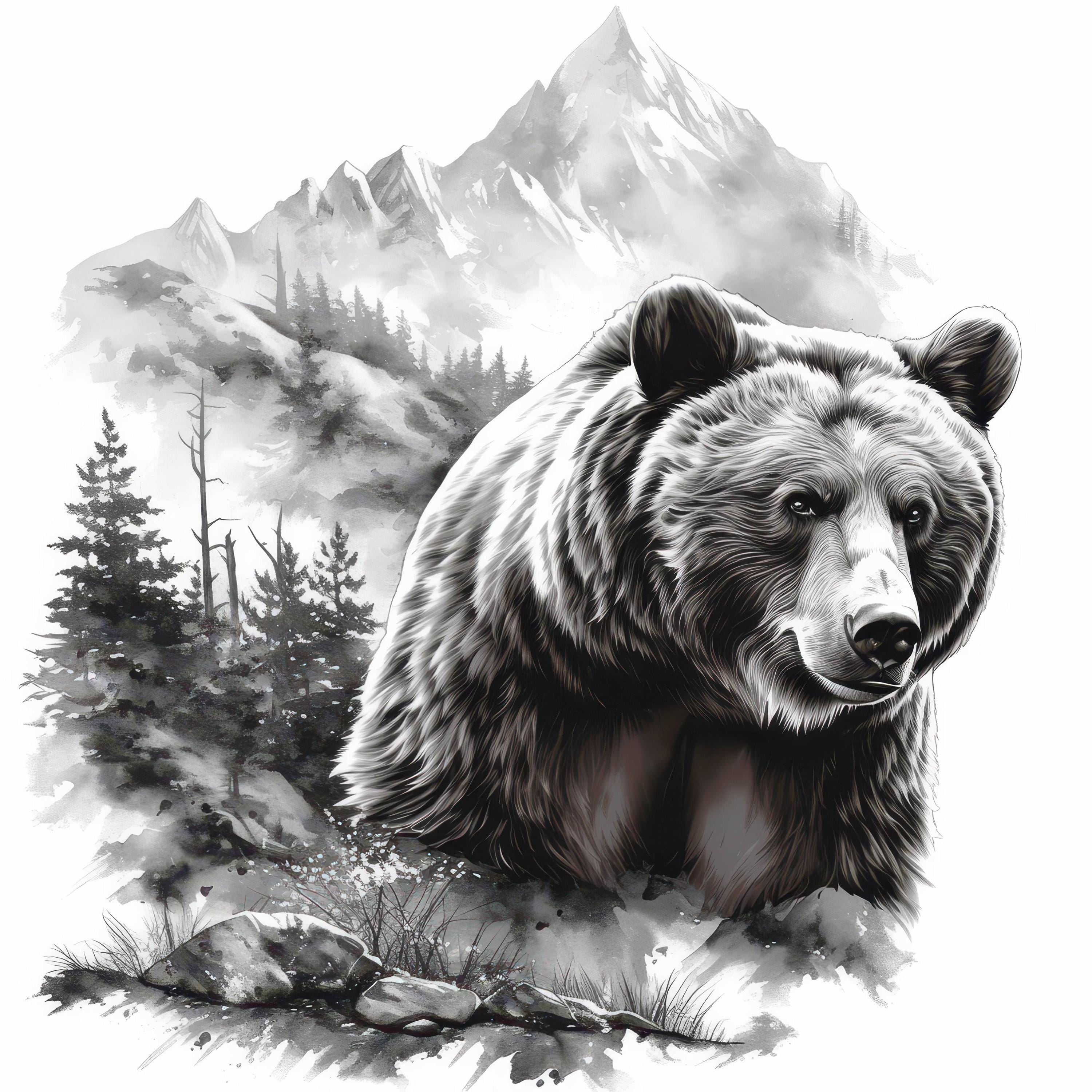 15 Black and White Bear Clipart Bundle, Bear Ink Illustrations ...