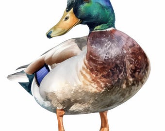 Pacote com 15 imagens de patos-reais em aquarela para imprimir, JPGs de alta qualidade, para artesanato em papel, confecção de cartões e diários de arte.