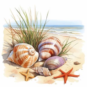 Clickart Shells 15 Tropical Beach Shells Clipart Bundle, Printable Watercolor Summer ...