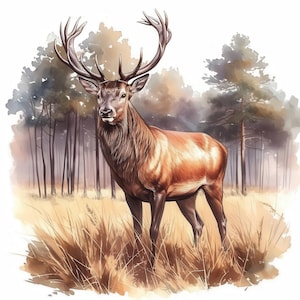 Lot de 10 cliparts cerf élaphe d'automne, illustrations d'images de cerf d'automne, clipart aquarelle imprimable, JPG haute qualité, créations en papier, journaux indésirables