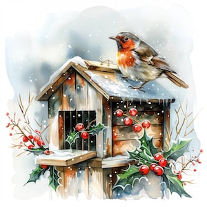 20 Noël Robin Clipart Bundle Set 2, image clipart aquarelle imprimable, fichiers JPG de haute qualité, téléchargement numérique, créations en papier, journaux indésirables
