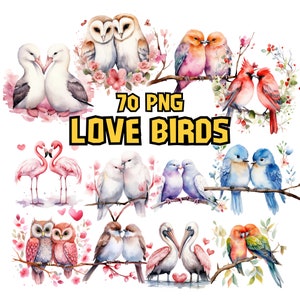 Imágenes prediseñadas de agapornis en acuarela / Imágenes del día de San Valentín, ilustraciones románticas y adorables de parejas de pájaros / Descarga instantánea para uso comercial