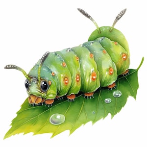 May include: A watercolor illustration of a green caterpillar with orange spots and tiny legs, resting on a green leaf with water droplets. The caterpillar has large black eyes and antennae.