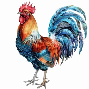 17 set di clipart di galli colorati, illustrazione di animali da fattoria, arredamento rustico, opera d'arte di galli per artigianato, scrapbooking, fai da te