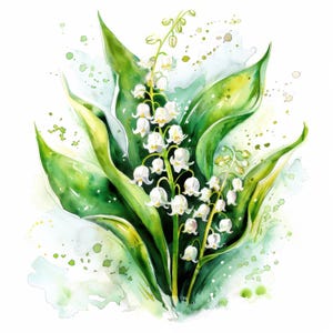 Bundle de cliparts fleur de muguet, 12 images JPG de haute qualité, créations artistiques, fabrication de cartes, clipart, créations numériques sur papier, scrapbooking
