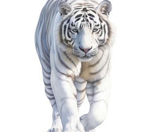 19 witte tijger clipart set 2, tijger kunst illustratie, afdrukbare aquarel clipart, hoge kwaliteit jpg-afbeelding, digitale download, commercieel gebruik
