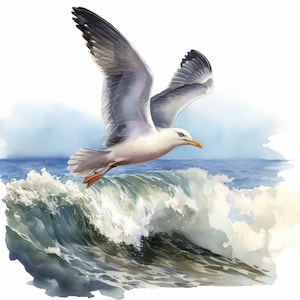 14 Seagull Collection Clipart Bundle, Printable Watercolor Marinegull Clipart, High Quality JPG, Paper craft, Digital Download, Junk Journal