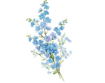13 Floral Border Clipart, Forget Me Not Illustration, Printable Watercolor Clipart, High Quality JPG, Commercial Use, Paper Craft, Journal